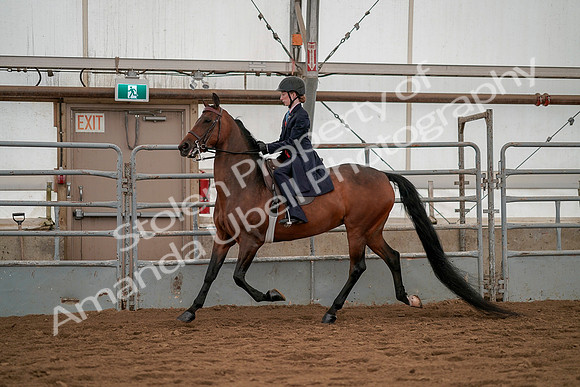 July 19, 2019 - 3807