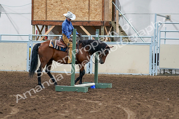 2020 - AB Morgan Horse - Fri, Sept 04 - 00253