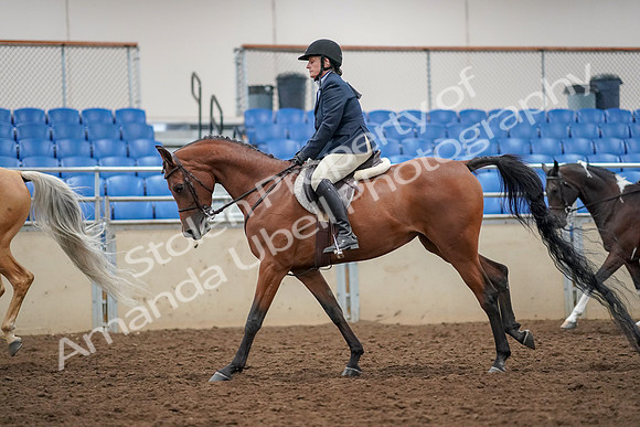 2019 Morgan Horse Show - Aug 30, 2019 - 22411