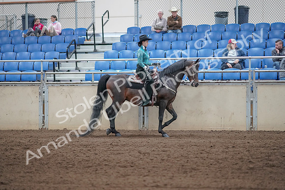 2019 Morgan Horse Show - Sept 01, 2019 - 07108