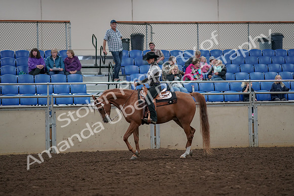 2019 Morgan Horse Show - Aug 30, 2019 - 26001