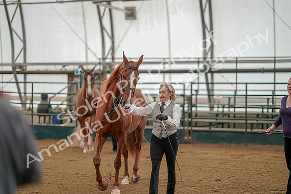 July 19, 2019 - 279