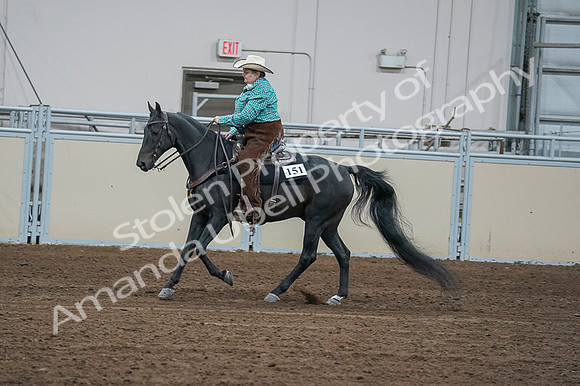 2020 - AB Morgan Horse - Fri, Sept 04 - 00472