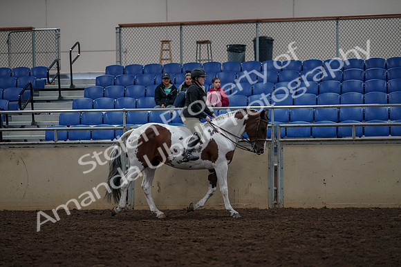 2019 Morgan Horse Show - Aug 30, 2019 - 31414