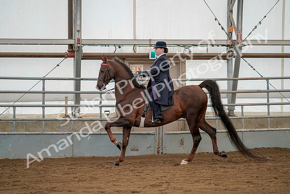 July 20, 2019 - 02251