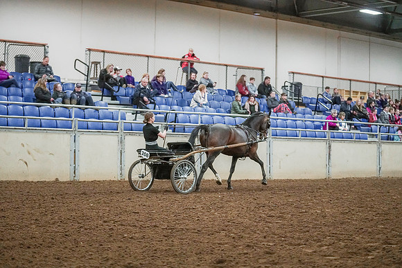 Spring Fling - Saturday - April 20, 2019  -  00281