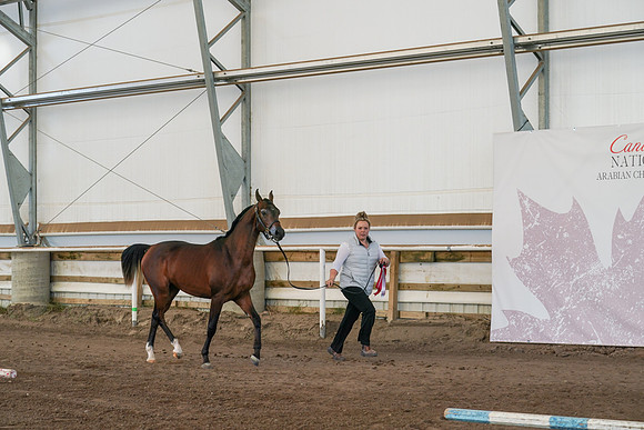 2022 - CNAC - Sept 27 - 01255