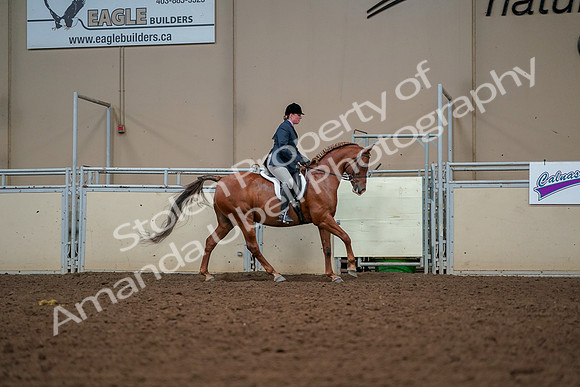 2019 Morgan Horse Show - Aug 30, 2019 - 22553