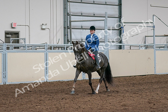 2020 - AB Morgan Horse - Sat, Sept 05 - 05225