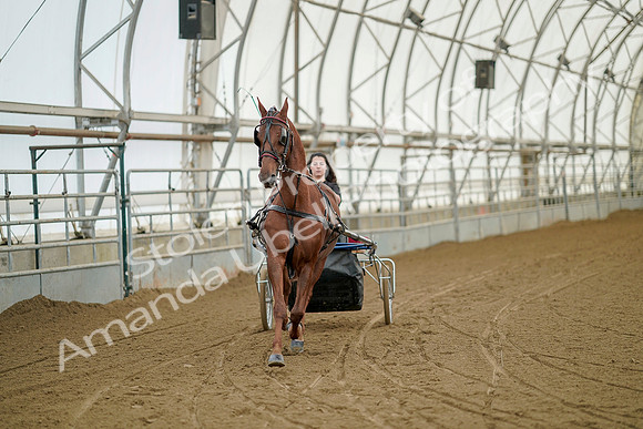 July 20, 2019 - 04928