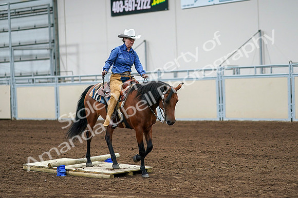 2020 - AB Morgan Horse - Fri, Sept 04 - 00240