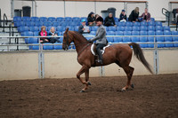 2019 Morgan Horse Show - Aug 31, 2019 - 13780