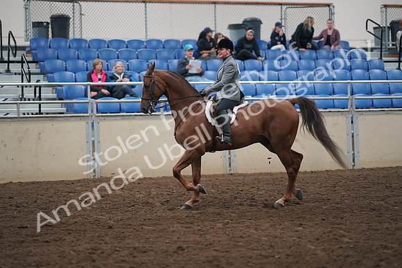 2019 Morgan Horse Show - Aug 31, 2019 - 13780