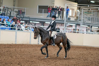 2020 - AB Morgan Horse - Sat, Sept 05 - 14196