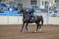 2020 - AB Morgan Horse - Fri, Sept 04 - 06979