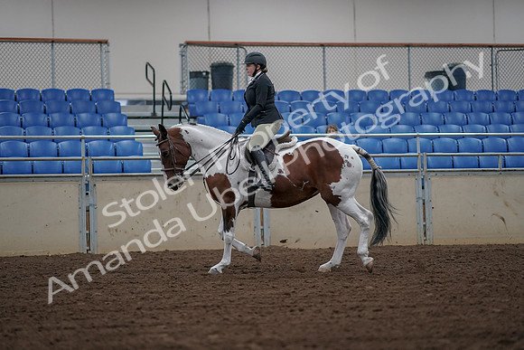 2019 Morgan Horse Show - Aug 30, 2019 - 14920