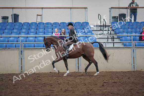 2019 Morgan Horse Show - Aug 31, 2019 - 15913