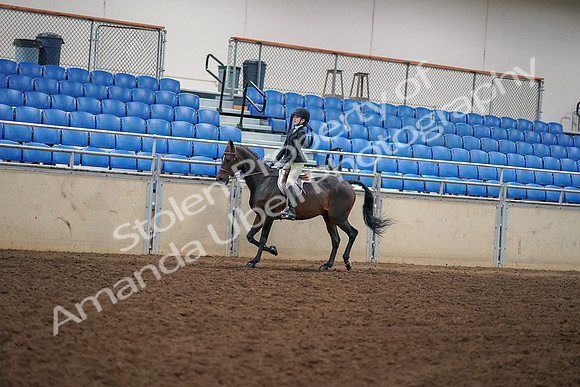 2019 Morgan Horse Show - Aug 30, 2019 - 12250