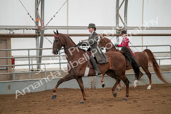 July 20, 2019 - 02209