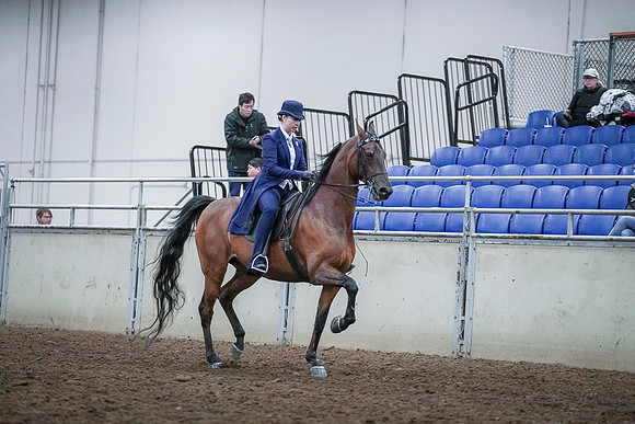 Spring Fling - Saturday - April 20, 2019  -  00743
