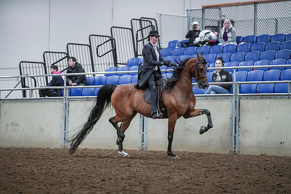 Spring Fling - Saturday - April 20, 2019  -  00761