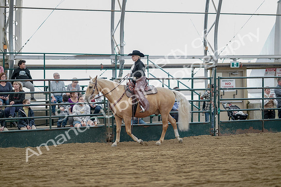 July 21, 2019 - 06737