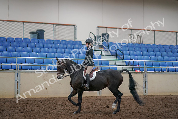 2019 Morgan Horse Show - Aug 30, 2019 - 12130
