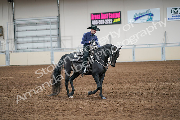 2020 - AB Morgan Horse - Sun, Sept 06 - 07625