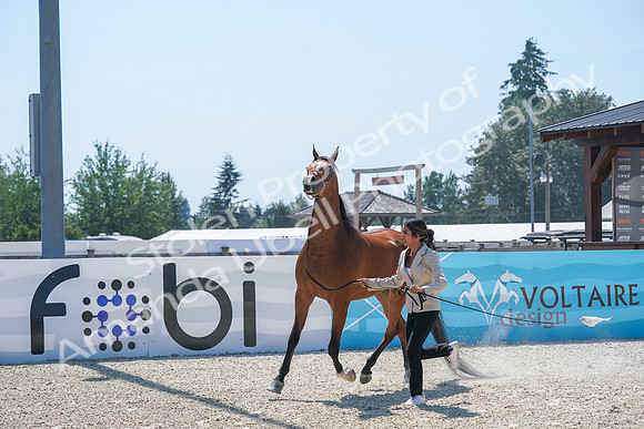 2024 - WCB - July 18 - 02862