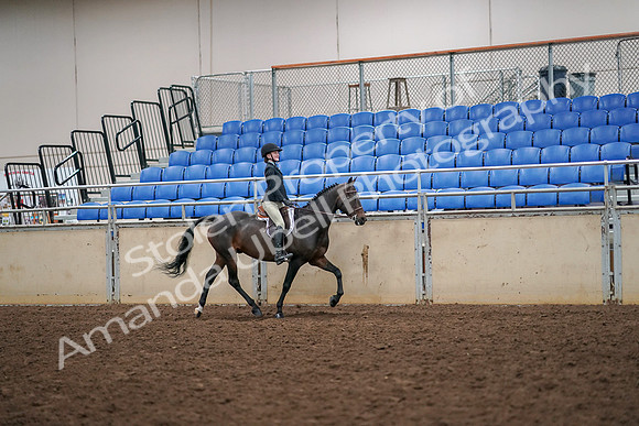 2019 Morgan Horse Show - Aug 30, 2019 - 12414