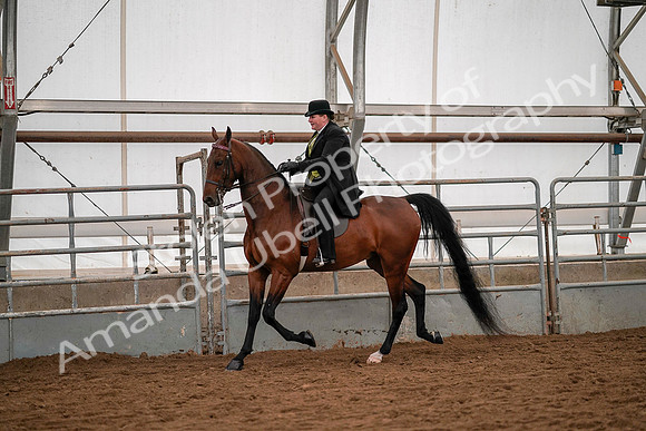 July 19, 2019 - 10266