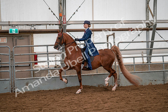 July 19, 2019 - 10235