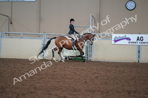 2019 Morgan Horse Show - Aug 30, 2019 - 20918