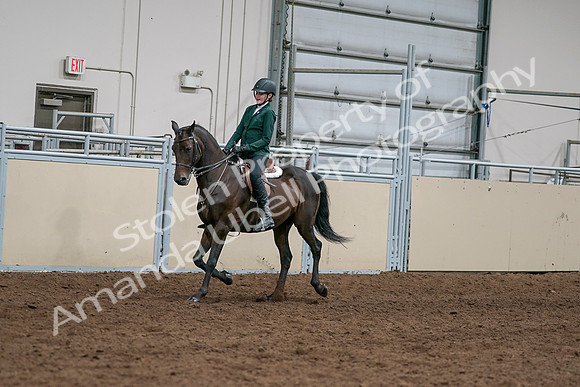 2020 - AB Morgan Horse - Sat, Sept 05 - 05025