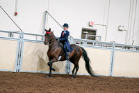 2020 - AB Morgan Horse - Sat, Sept 05 - 08531