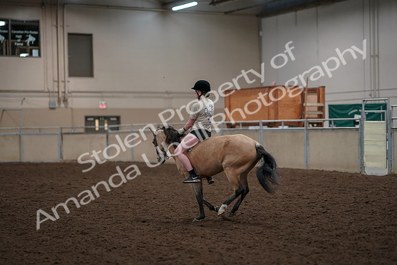 2019 Morgan Horse Show - Aug 30, 2019 - 31247