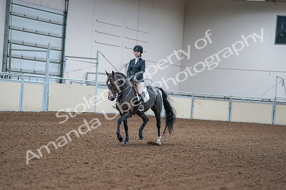 2020 - AB Morgan Horse - Fri, Sept 04 - 06147