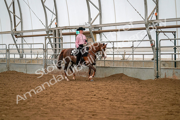 July 19, 2019 - 10115