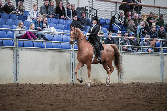 Spring Fling - Saturday - April 20, 2019  -  04345