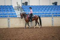 2019 Morgan Horse Show - Aug 30, 2019 - 22698
