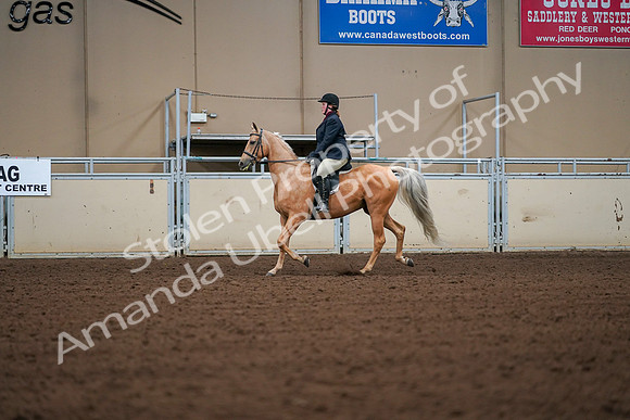 2019 Morgan Horse Show - Aug 30, 2019 - 16170