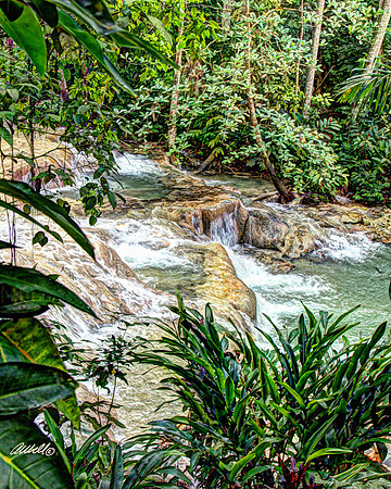 Jamaica - 026