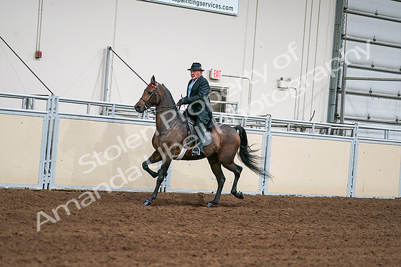 2020 - AB Morgan Horse - Sat, Sept 05 - 08108