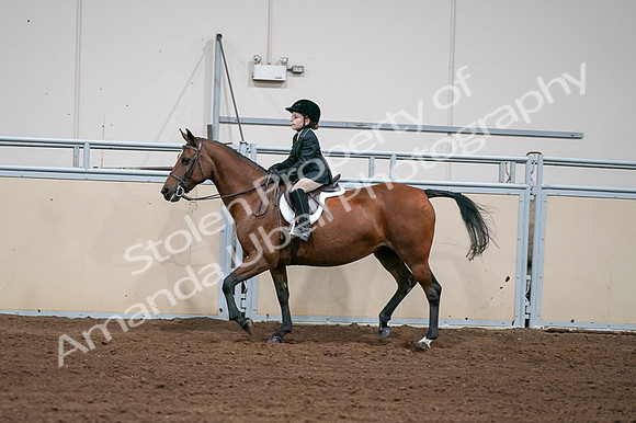 2020 - AB Morgan Horse - Fri, Sept 04 - 02062