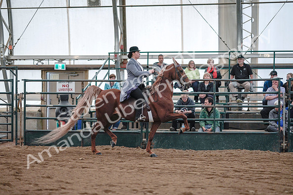 July 20, 2019 - 17147