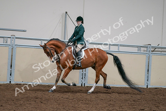 2020 - AB Morgan Horse - Sat, Sept 05 - 05020