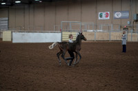 2019 Morgan Horse Show - Aug 31, 2019 - 00203
