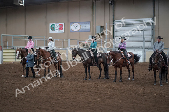 2019 Morgan Horse Show - Sept 01, 2019 - 07239
