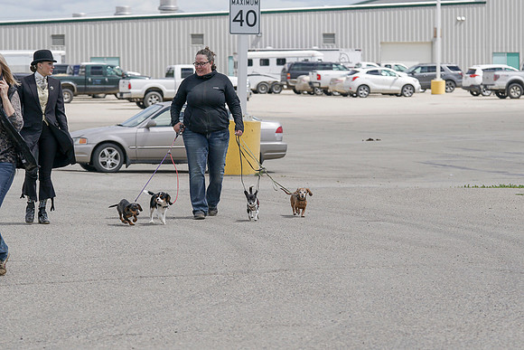 DSC05970