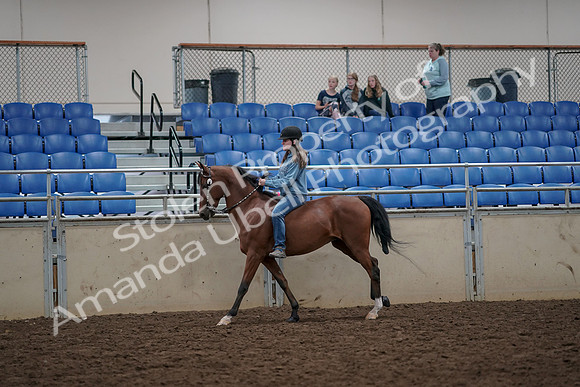2019 Morgan Horse Show - Aug 30, 2019 - 31310